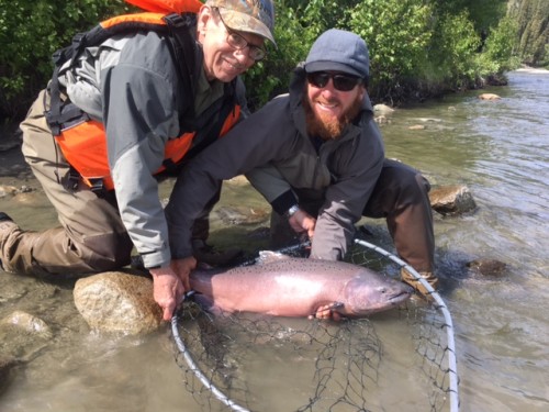 King Salmon, Gulkana River, salmon fishing, rafting, Alaska, rivers, Chinook salmon