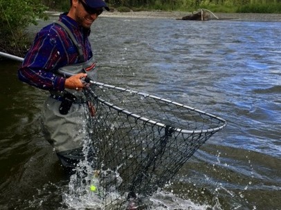 King Salmon, Gulkana River, Alaska Salmon Fishing